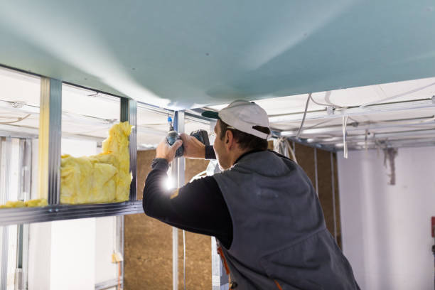 Best Residential Insulation Services  in Aledo, TX