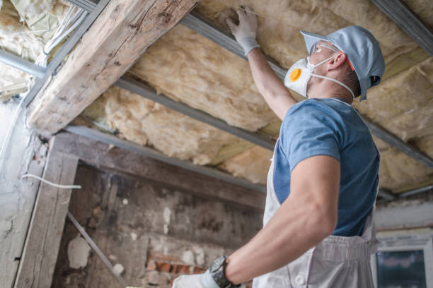 Best Blown-in Insulation  in Aledo, TX
