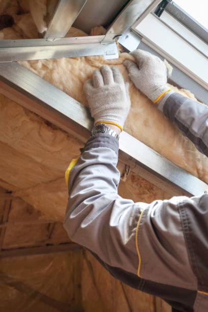 Best Energy-efficient Insulation  in Aledo, TX