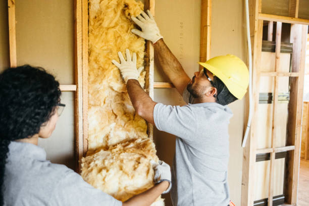 Best Professional Insulation Contractor  in Aledo, TX