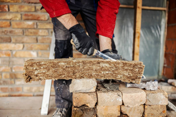 Best Insulation Inspection Services  in Aledo, TX