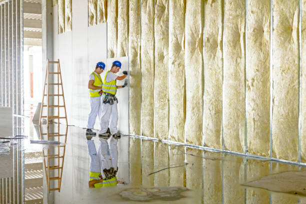 Best Best Insulation Companies  in Aledo, TX